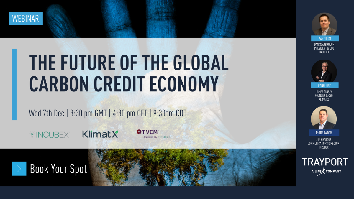 The Future of the Global Carbon Credit Economy